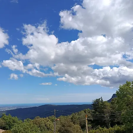 Cor De Prades-2